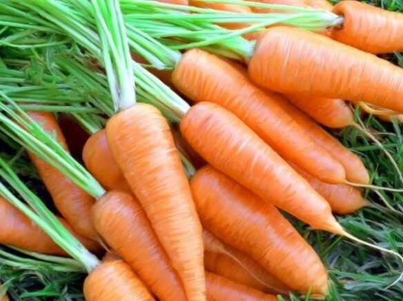 carrot and carrot oil for skin rejuvenation